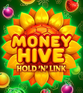 Money Hive Hold n Link